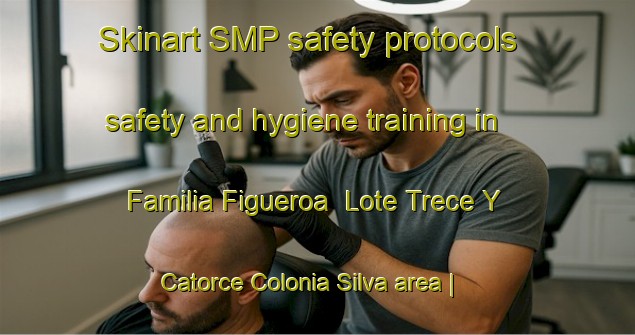 Skinart SMP safety protocols safety and hygiene training in Familia Figueroa  Lote Trece Y Catorce Colonia Silva area | SmpTraining | SmpClasses | SkinartTraining-Mexico